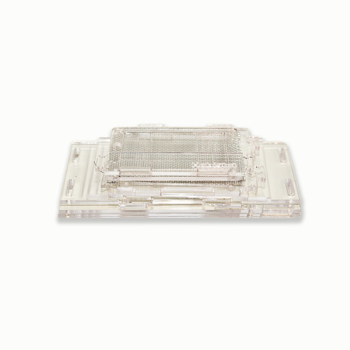 Habistat Clear Acrylic Mantis Home