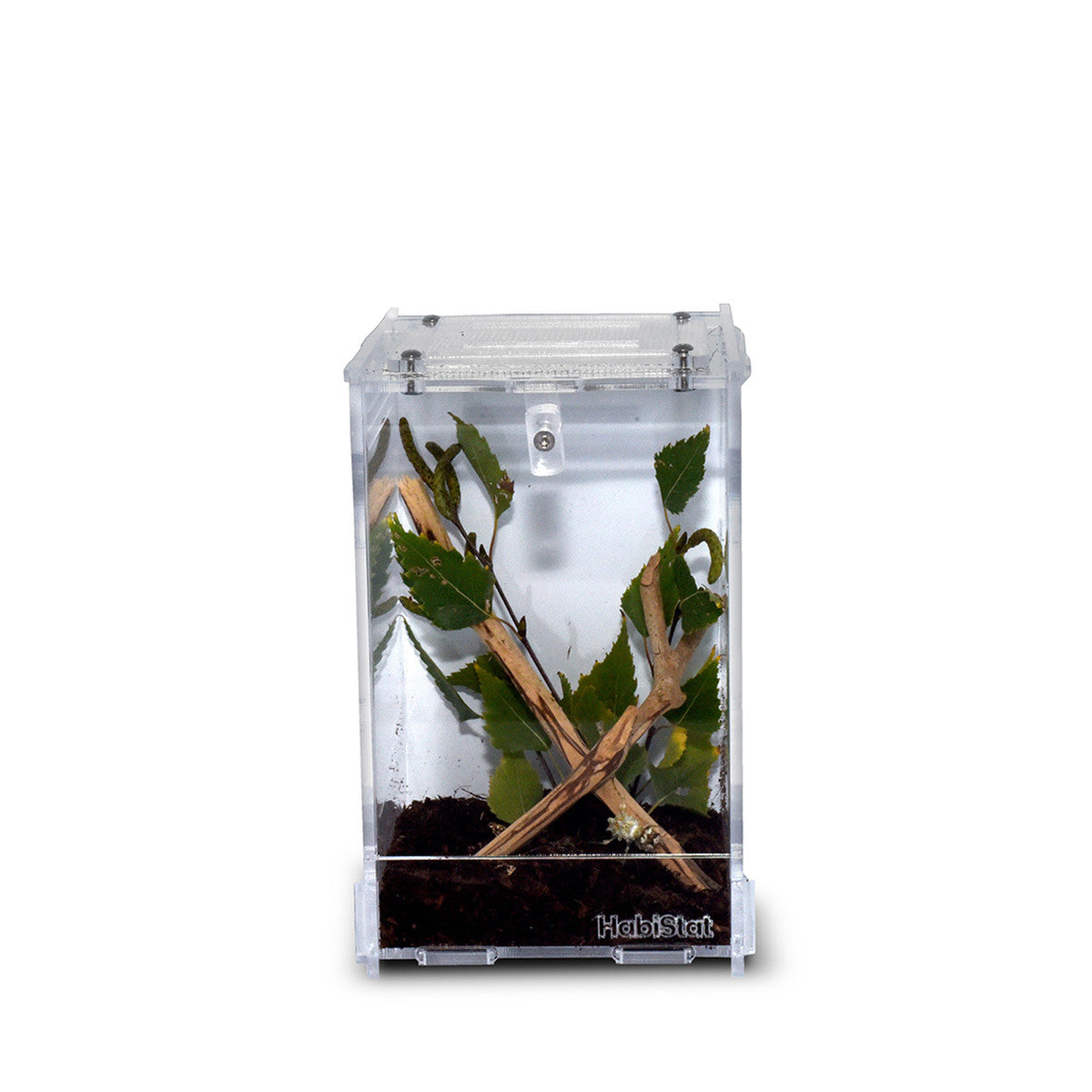 Habistat Clear Acrylic Mantis Home